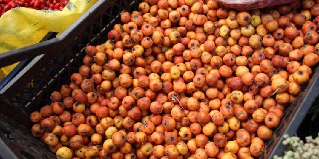 Dikenine katlanan meyvesini yiyor! Elleriyle tek tek toplayıp satıyorlar: Pazarda kilosu 100 TL’den alıcı buluyor 2